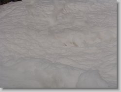 Snimek 23 * 1600 x 1200 * (410KB)